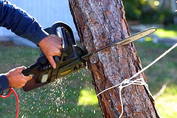 Lawn Irrigation Installation and Maintenance in Vernon, TX